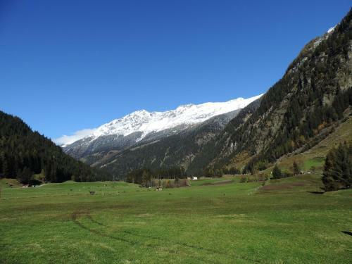 Apartamento Haus Renate