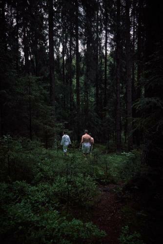 Blickinsfreie - Cabin