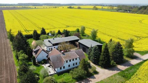 Apartamento Ein Bett Im Kornfeld - Haus Morgensonne - Mit Innenpool