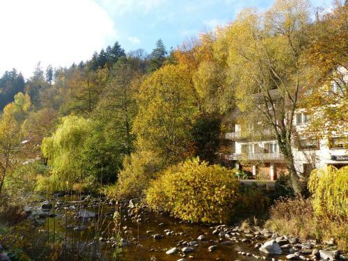 Hostal Adieu Alltag: Pension Oesterle Im Schwarzwald