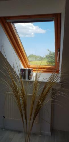 Apartamento Strandperle - Ihre Ferienwohnung