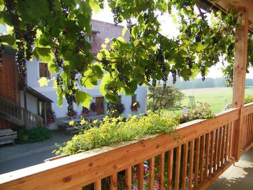 Agroturismo Hanauerhof