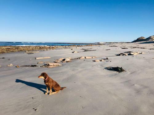 Hostal Port Nolloth Beach Shack