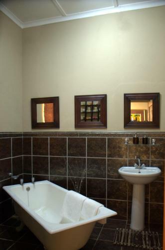 Hostal Gecko Cottage Guesthouse