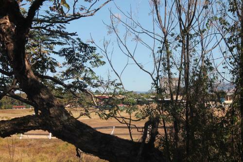 Hostal Su Casa Scottsville