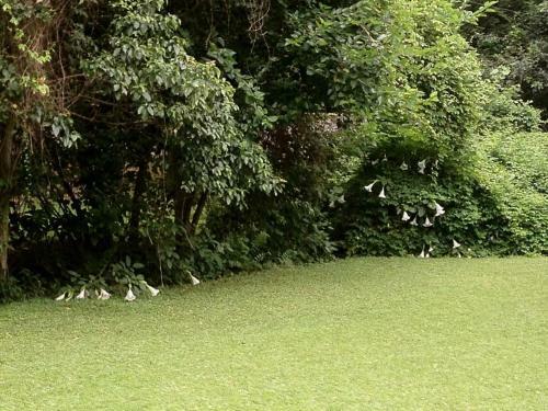 Emfuleni Bed And Breakfast