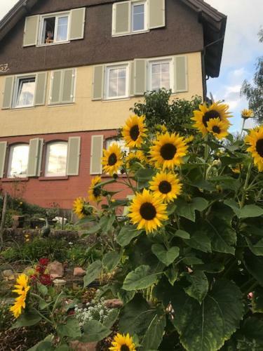 Apartamento Sonnige Ferienwohnung