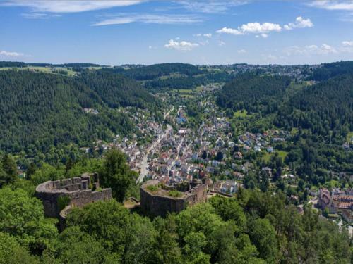 Apartamento Haus Schiltach