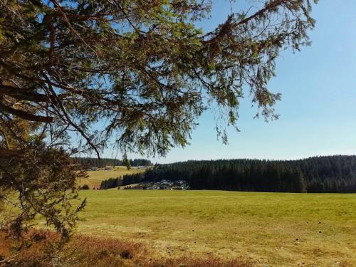 Apartamento 1-zimmer-apartment Mit Gro�em Balkon