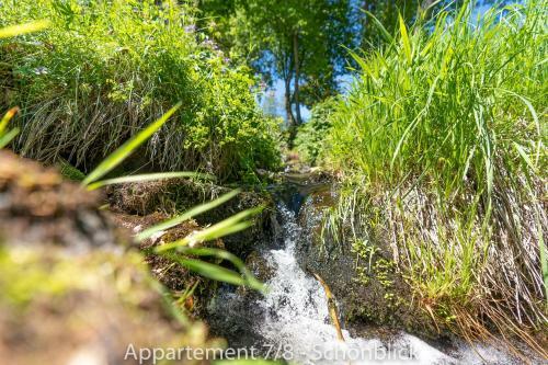 Apartamento Haus Lucia Appartment "sch�nblick"