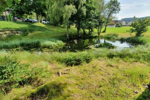 Apartamento Black Forest Kuckucksnest Sch�nwald Im Schwarzwald