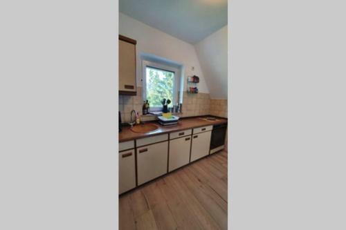 Apartamento Black Forest Kuckucksnest Sch�nwald Im Schwarzwald