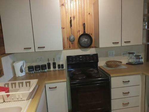 de Wit See Huis (Milkwood Lodge 2)