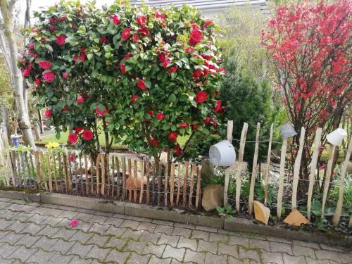 Apartamento Ferienwohnung Sch�tzle