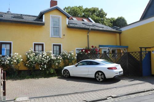 Apartamento Gelbeshaus1