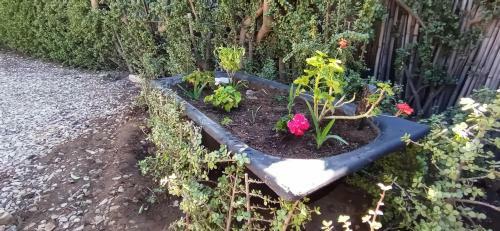 Apartamento The Karoo Prinia