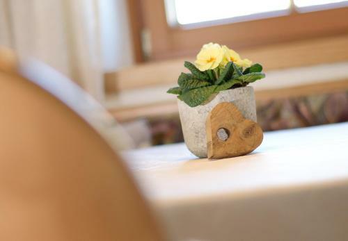 Agroturismo Hattlerhof