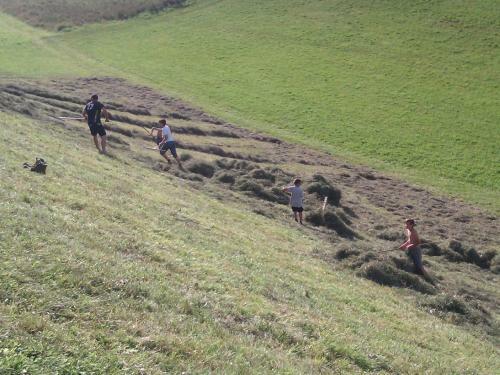 Agroturismo Hattlerhof