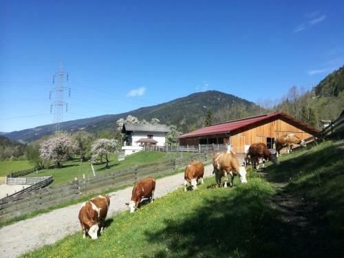 Agroturismo Saumerhof - Fam. Trinker Marion Und Wolfgang