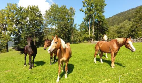 Agroturismo Saumerhof - Fam. Trinker Marion Und Wolfgang