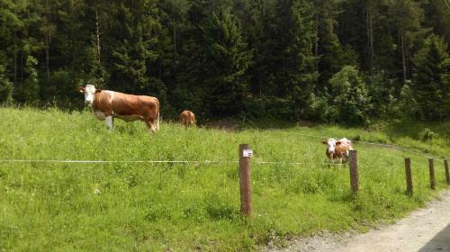 Agroturismo Saumerhof - Fam. Trinker Marion Und Wolfgang