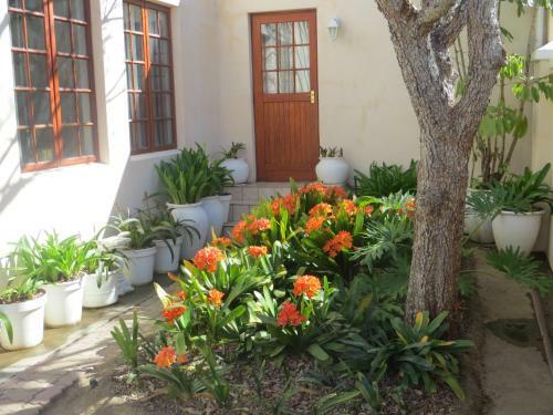 Hostal Bougain Villa Guesthouse