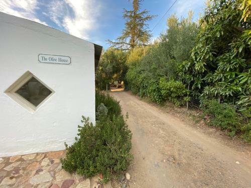 Villa The Olive House, Prince Albert