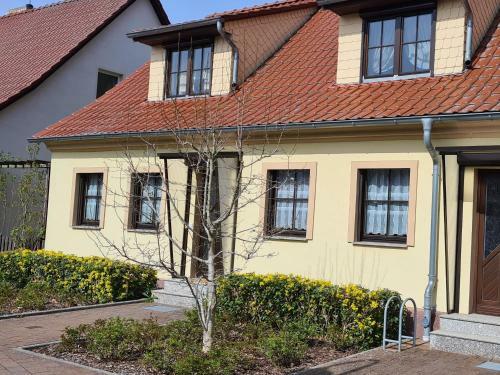 Apartamento Die Ferienwohnung "am Kietz"