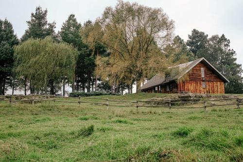 The Log Cabin