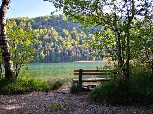 Apartamento Haus Bullachberg