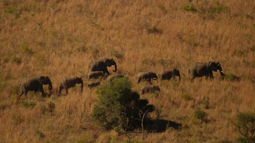 Hostal Kwalucia Private Safari Retreat