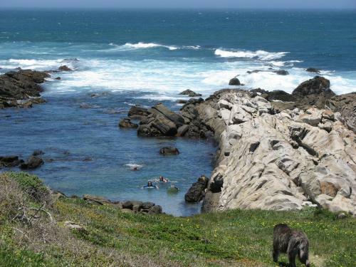 Apartamento Bizwani Beach Cottage