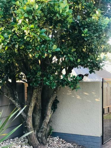 Apartamento Casa Atez