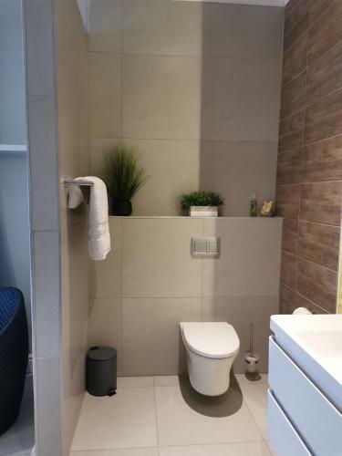 Hostal Brewer Place