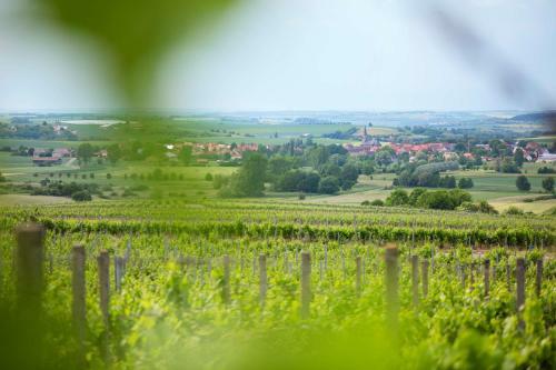 Posada Winzerstube G�stezimmer Schilling