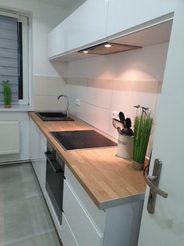 Apartamento Mandau Blick