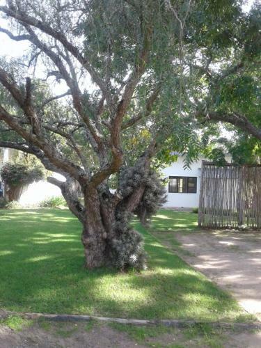 Apartamento Woodpecker