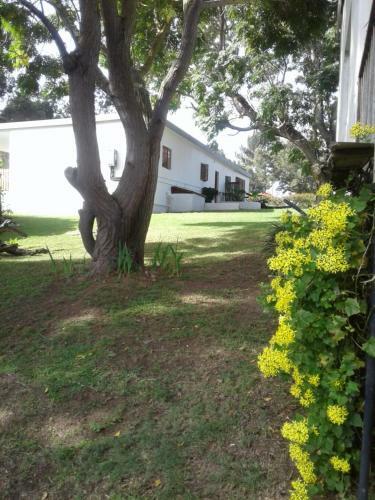 Apartamento Woodpecker