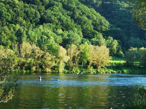 Apartamento G�stehaus Lavendel An Der Mosel