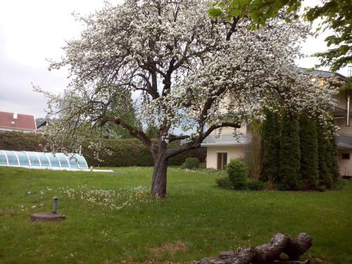Bed & Breakfast Villa Maggica