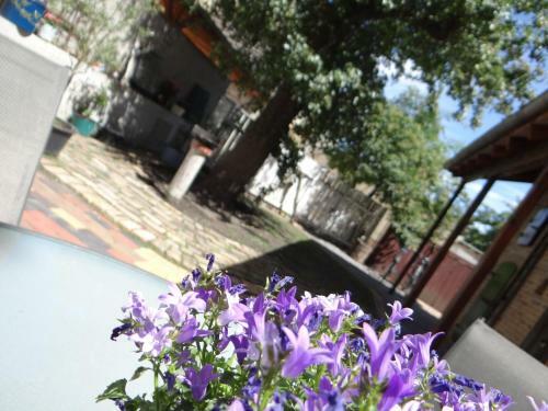Apartamento Appartementhaus "sch�ni"