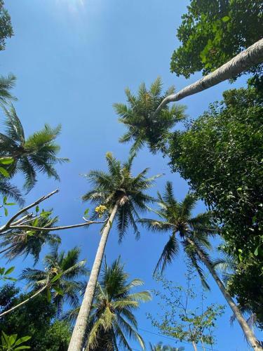 Agroturismo The Kampung Halaman