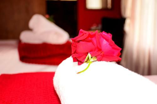 Hostal Novus Guest House