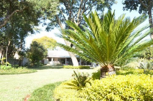 Bed & Breakfast 64 On Malabor