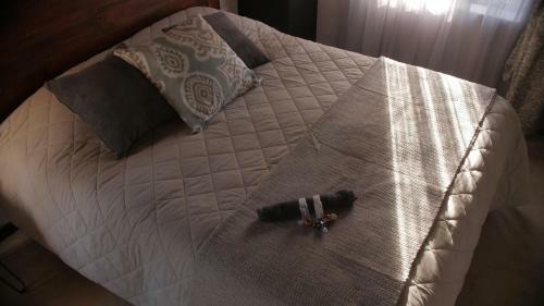 Hostal Arendskop