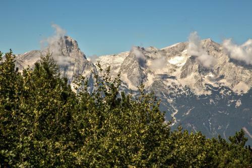 Hostal Gasthof Pension Sonnfeld