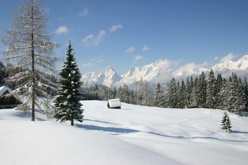 Relax & Wanderhotel Poppengut