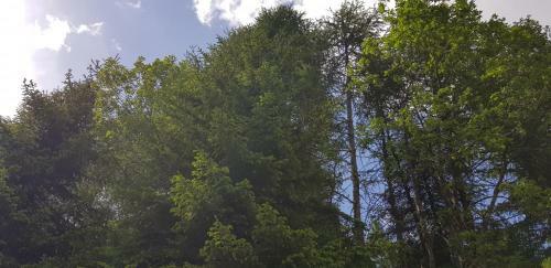 Kinder- Und Familienhotel Nockalm