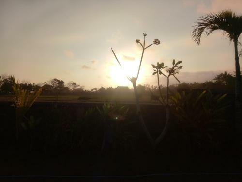 Hotel Emir Surfcamp