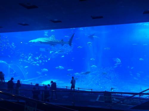 Hostal Nakijin Sky Villa High - Vacation Stay 61339